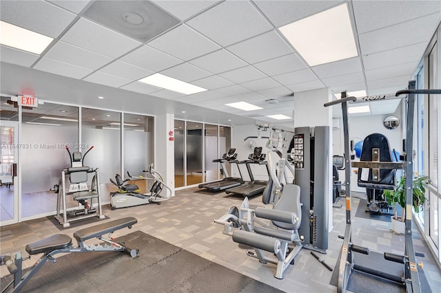 gym featuring carpet and a drop ceiling