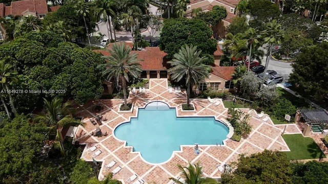 view of swimming pool with a patio area