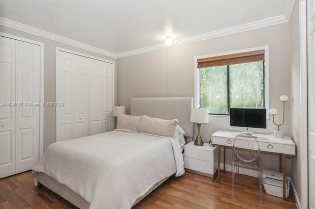 bedroom with multiple closets, hardwood / wood-style flooring, and ornamental molding