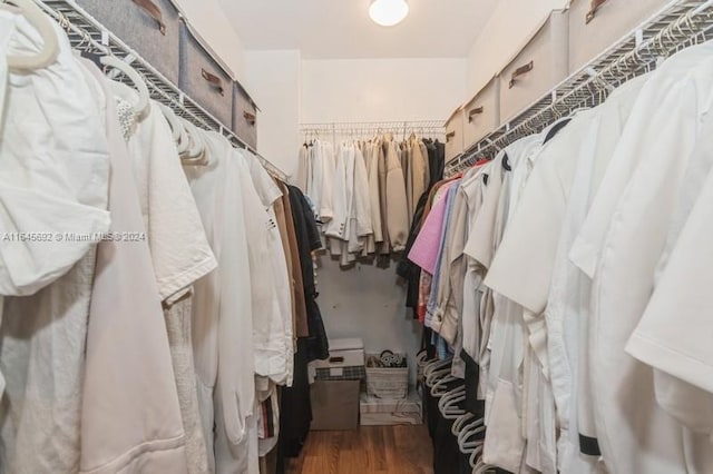 walk in closet featuring hardwood / wood-style floors