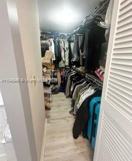 spacious closet featuring hardwood / wood-style flooring