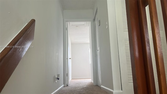 hallway with carpet flooring