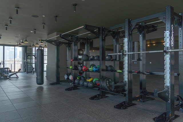 gym with floor to ceiling windows