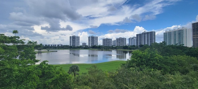 view of water feature