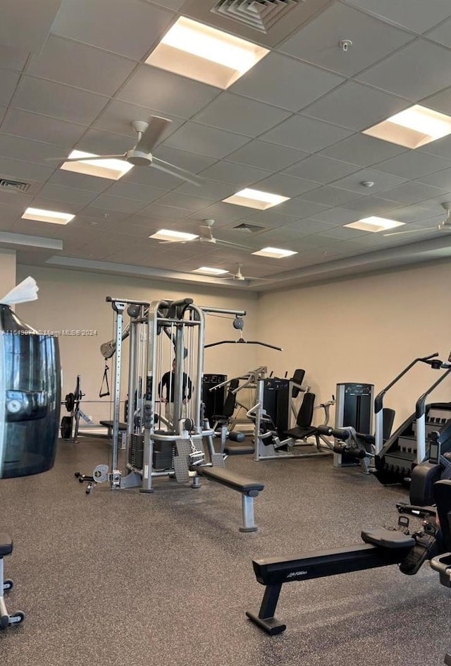 gym featuring a paneled ceiling and carpet