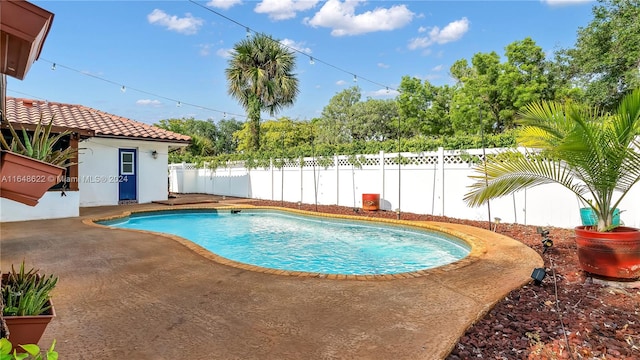 view of pool with a patio