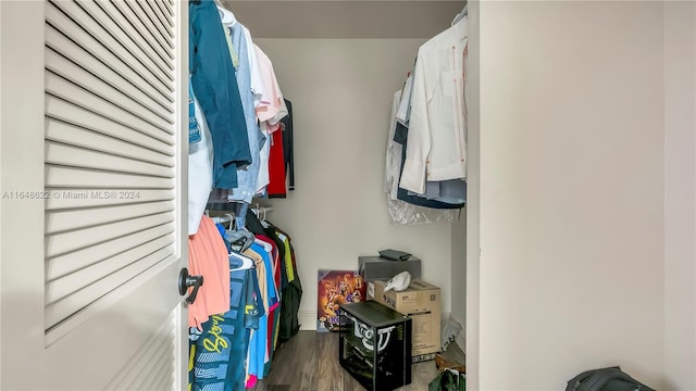 spacious closet with dark hardwood / wood-style floors