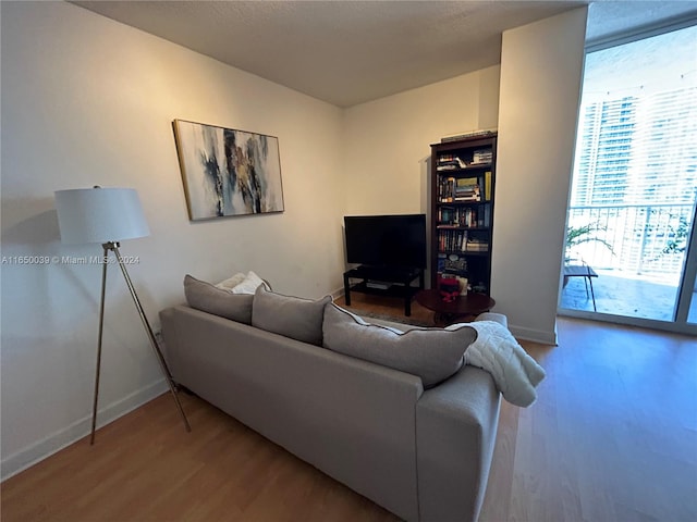 living room with wood-type flooring