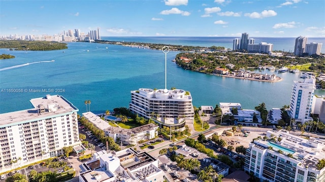 bird's eye view with a water view