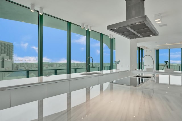 kitchen with plenty of natural light, sink, island exhaust hood, and a water view