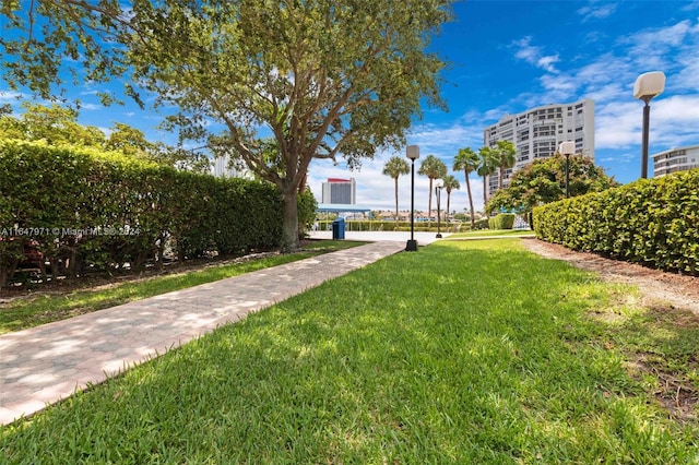 view of home's community featuring a yard