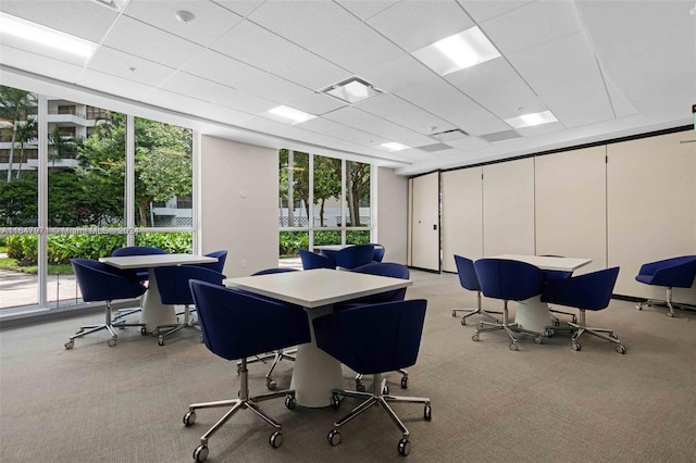 carpeted office with expansive windows and a paneled ceiling