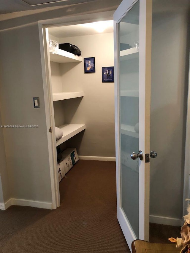 spacious closet with dark colored carpet