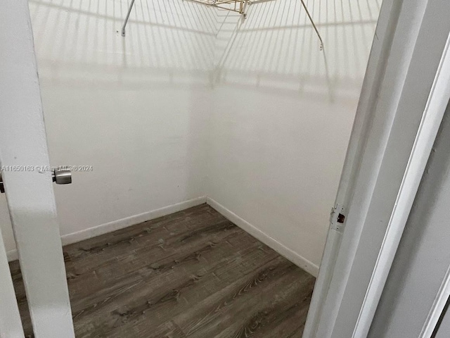 spacious closet with dark wood-type flooring