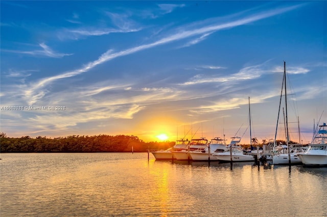 property view of water featuring a dock