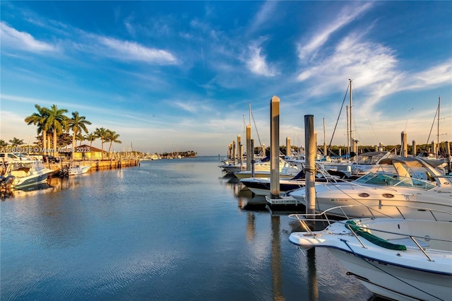 dock area featuring a water view