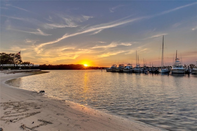 property view of water with a boat dock