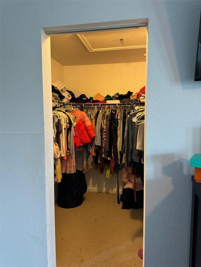 spacious closet featuring carpet floors