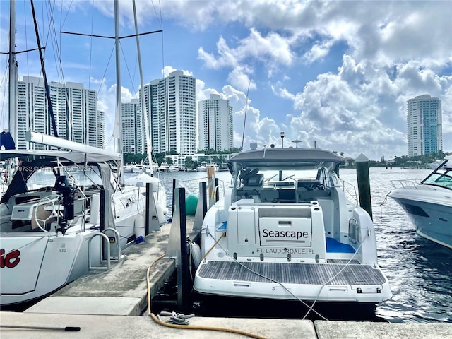 dock area with a water view