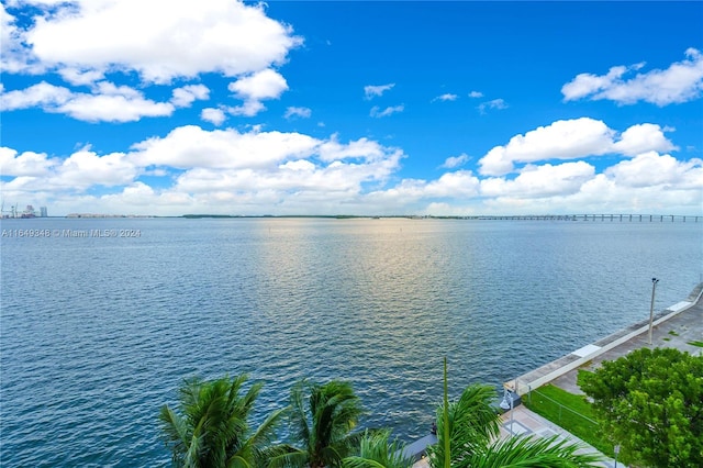 view of water feature