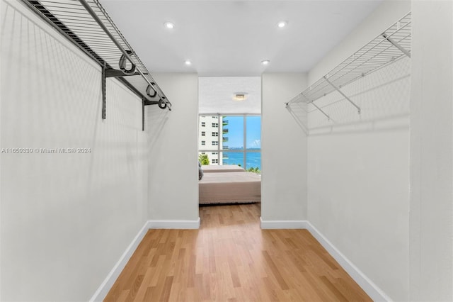 spacious closet with light hardwood / wood-style flooring