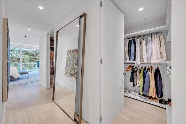 view of closet