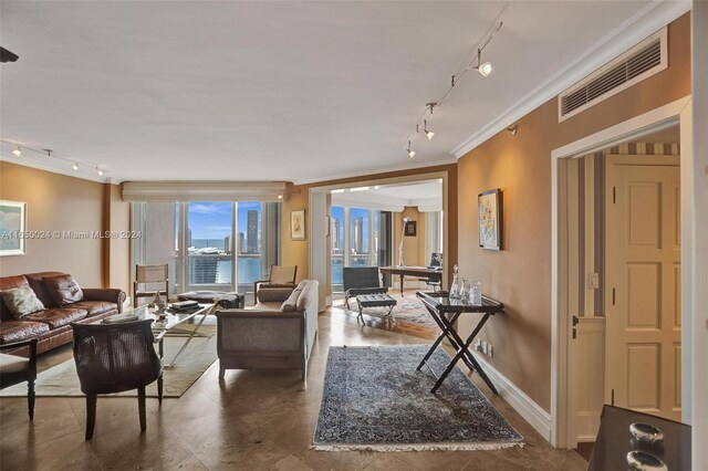 living room featuring rail lighting and ornamental molding