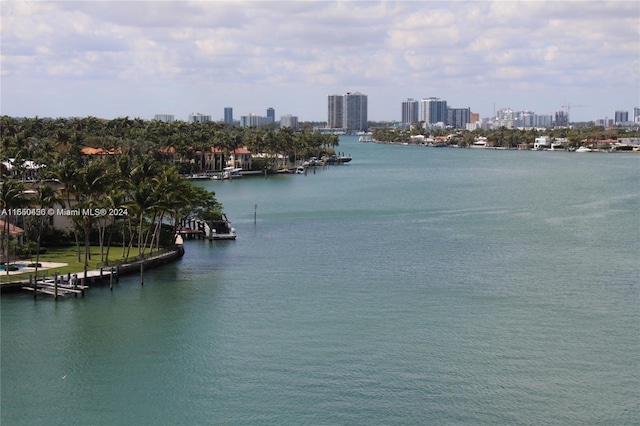 view of water feature with a dock