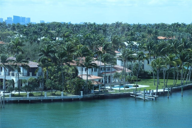 view of water feature with a dock