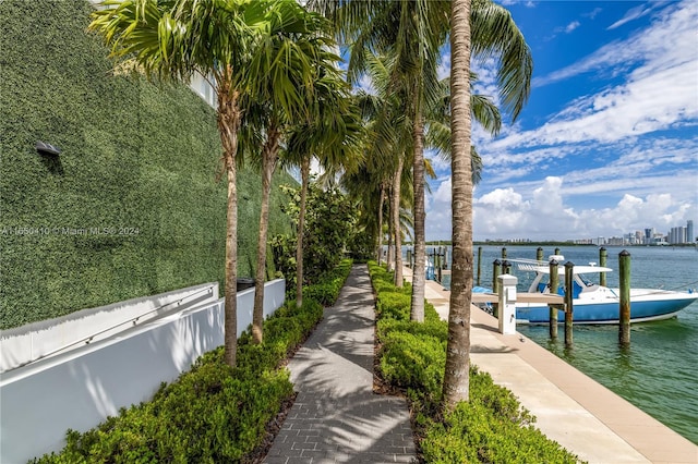 dock area with a water view