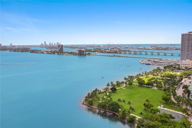 birds eye view of property with a water view