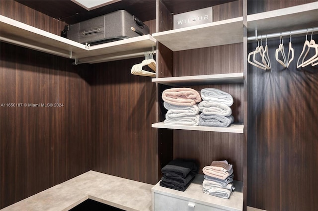 view of spacious closet