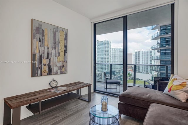 living room featuring expansive windows and wood-type flooring