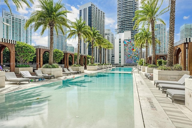 view of swimming pool featuring a patio area