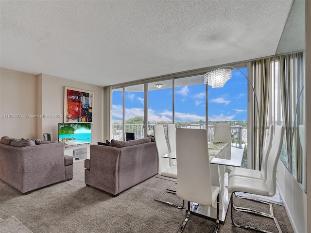 living room featuring a textured ceiling and carpet flooring