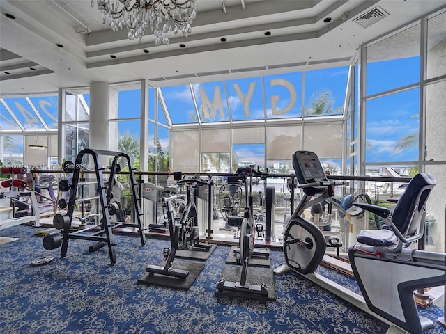 exercise room with a wealth of natural light, a high ceiling, and carpet