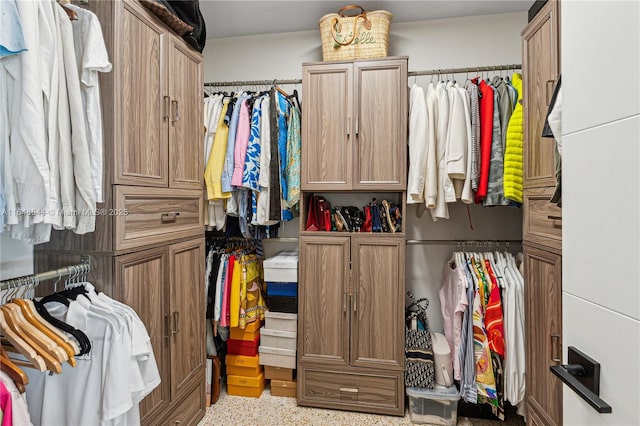 view of walk in closet