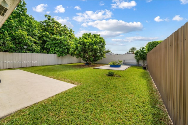 view of yard with a patio area and a fenced backyard