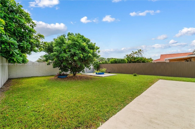 view of yard featuring a patio area and a fenced backyard