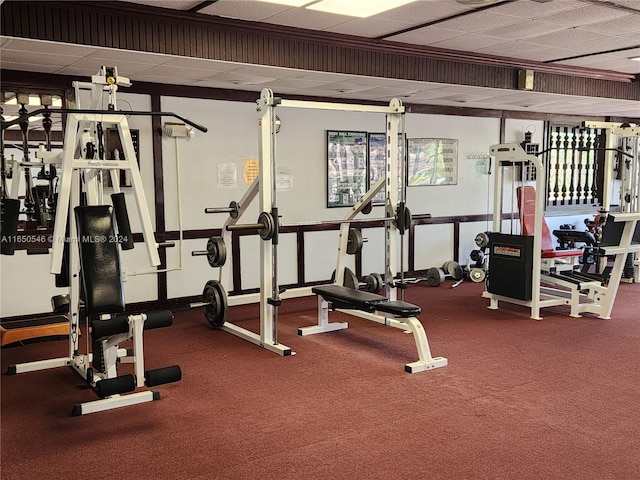 gym with carpet floors and a drop ceiling