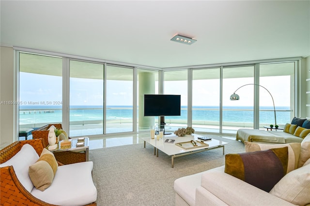 carpeted living room with a wall of windows