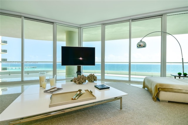 living room with a wall of windows, carpet floors, and a healthy amount of sunlight