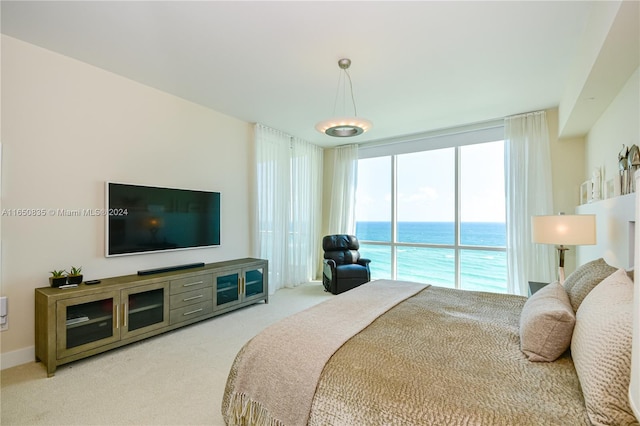 carpeted bedroom with floor to ceiling windows