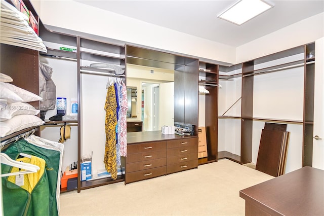 spacious closet with light colored carpet