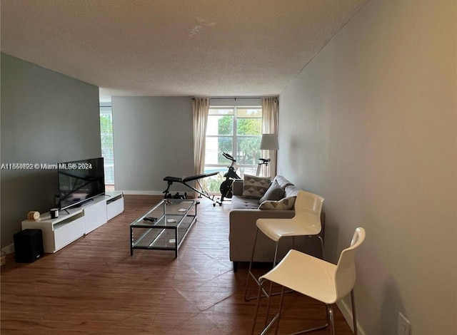 living room with a textured ceiling and hardwood / wood-style flooring