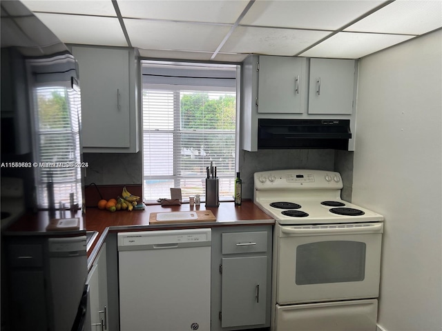 kitchen with range hood, a paneled ceiling, white appliances, and gray cabinetry