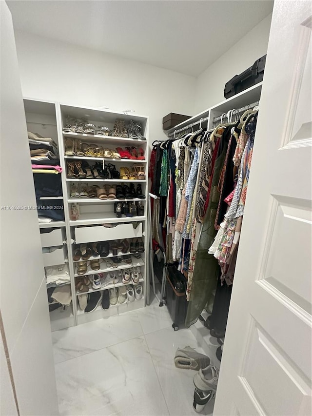 view of spacious closet