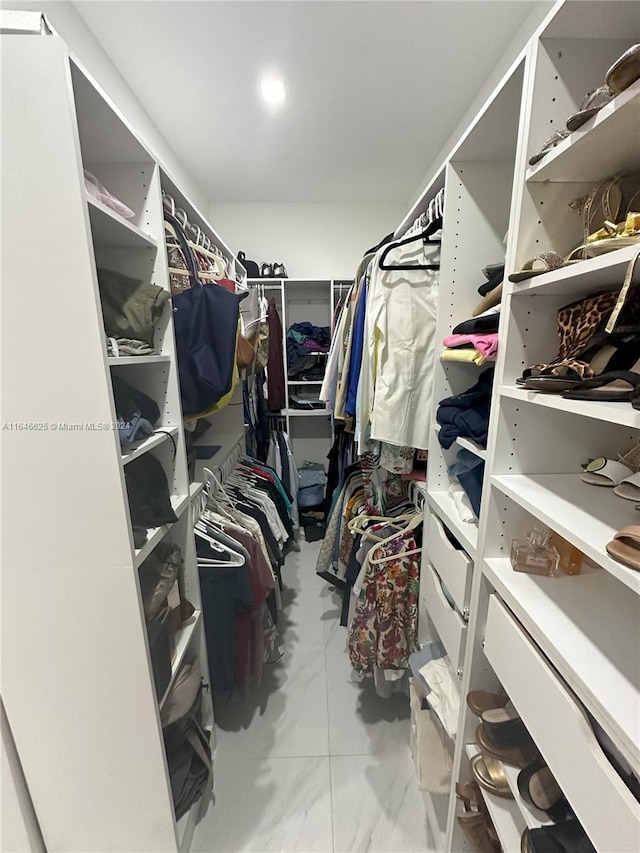 view of spacious closet