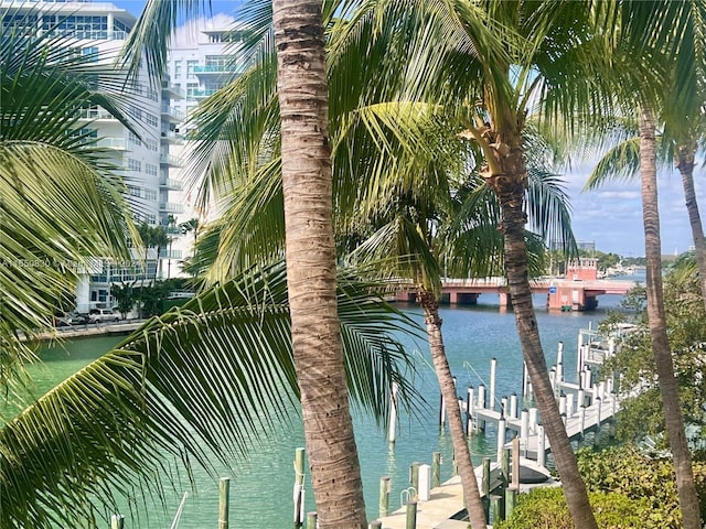 property view of water with a boat dock