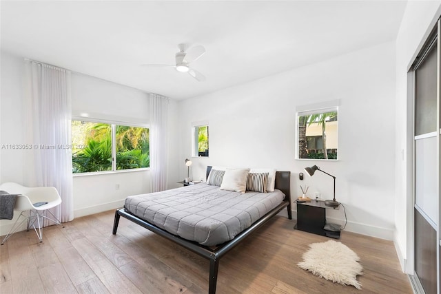 bedroom with multiple windows, ceiling fan, and light hardwood / wood-style floors